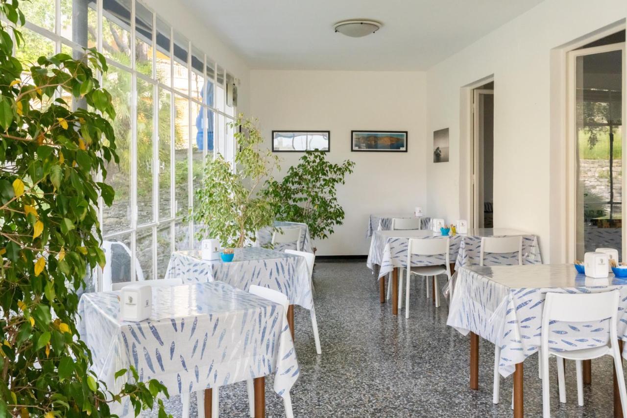 Hotel Hotel Zoagli