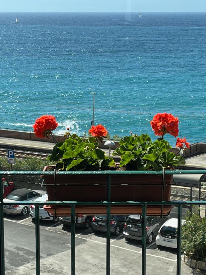 Hotel Zoagli Hotel 2*